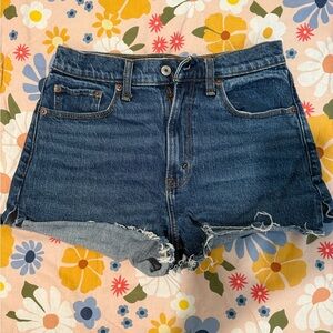 Abercrombie The Mom Short High Rise “Curve Love”
